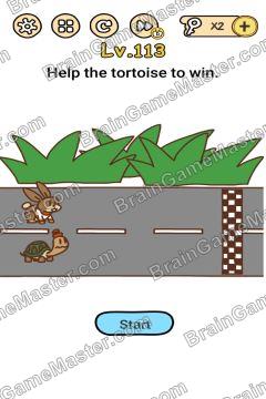 Answer Brain Boom Help the tortoise to win Level 113