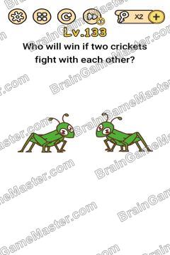 Answer Brain Boom Who will win if two crickets fight with each other? Level 133