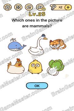 Answer Brain Boom Which ones in the picture are mammals? Level 25
