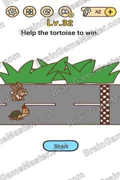 Answer Brain Boom Help the tortoise win. Level 32