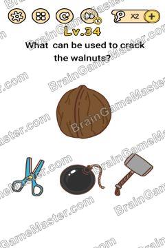 Answer Brain Boom What can be used to crack the walnuts? Level 34