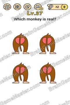 Answer Brain Boom Which monkey is real? Level 37