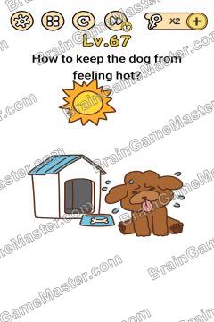Answer Brain Boom How to keep the dog from feeling hot? Level 67