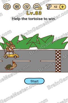 Answer Brain Boom Help the tortoise to win. Level 83