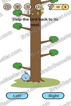 Answer Brain Boom Help the bird back to its nest. Level 87