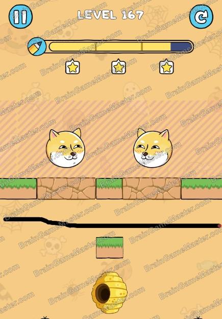 The answer to level 161, 162, 163, 164, 165, 166, 167, 168, 169 and 170 game is Save The Dog