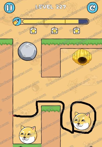 The answer to level 221, 222, 223, 224, 225, 226, 227, 228, 229 and 230 game is Save The Dog