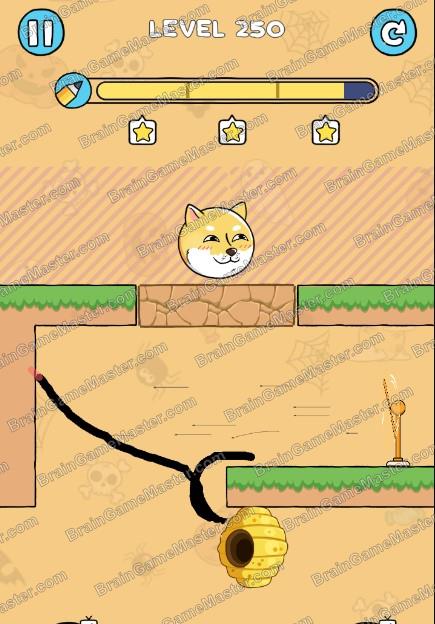 The answer to level 241, 242, 243, 244, 245, 246, 247, 248, 249 and 250 game is Save The Dog