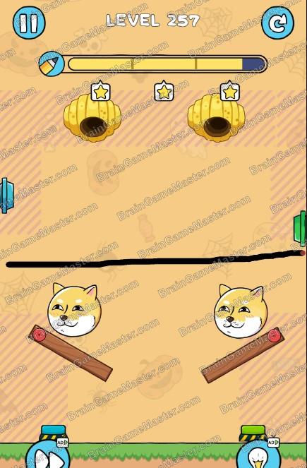 The answer to level 251, 252, 253, 254, 255, 256, 257, 258, 259 and 260 game is Save The Dog