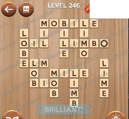 The answer to level 241, 242, 243, 244, 245, 246, 247, 248, 249 and 250 game is Woody Cross