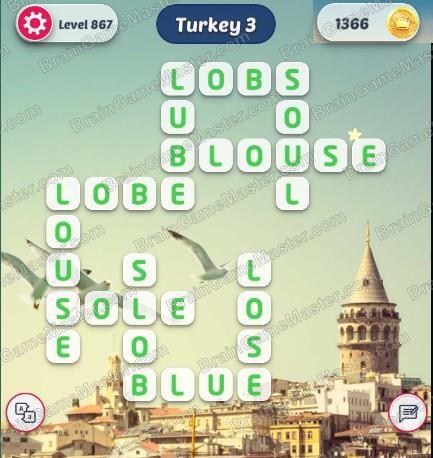 The answer to level 861, 862, 863, 864, 865, 866, 867, 868, 869, and 870 is Word Explore