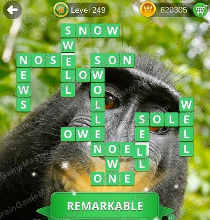 The answer to level 241, 242, 243, 244, 245, 246, 247, 248, 249 and 250 is Wordmonger : collectible word game